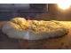 Forno a Legna da Esterno Tranquilli Forni Jolly 80x48