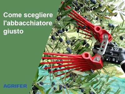 Come scegliere l'abbacchiatore giusto