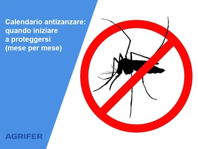 Calendario antizanzare: quando iniziare a proteggersi (mese per mese)