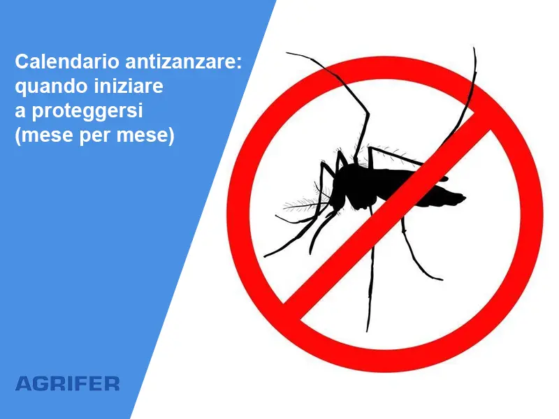 Calendario antizanzare: quando iniziare a proteggersi (mese per mese)