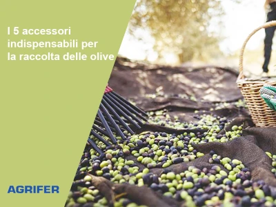 I 5 accessori indispensabili per la raccolta delle olive