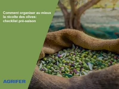 Comment organiser au mieux la récolte des olives: checklist pré-saison