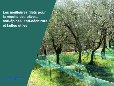 Les meilleures filets pour la récolte des olives : anti-épines, anti-déchirure et tailles utiles