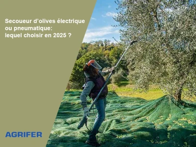 Secoueur d’olives électrique ou pneumatique: lequel choisir en 2025?