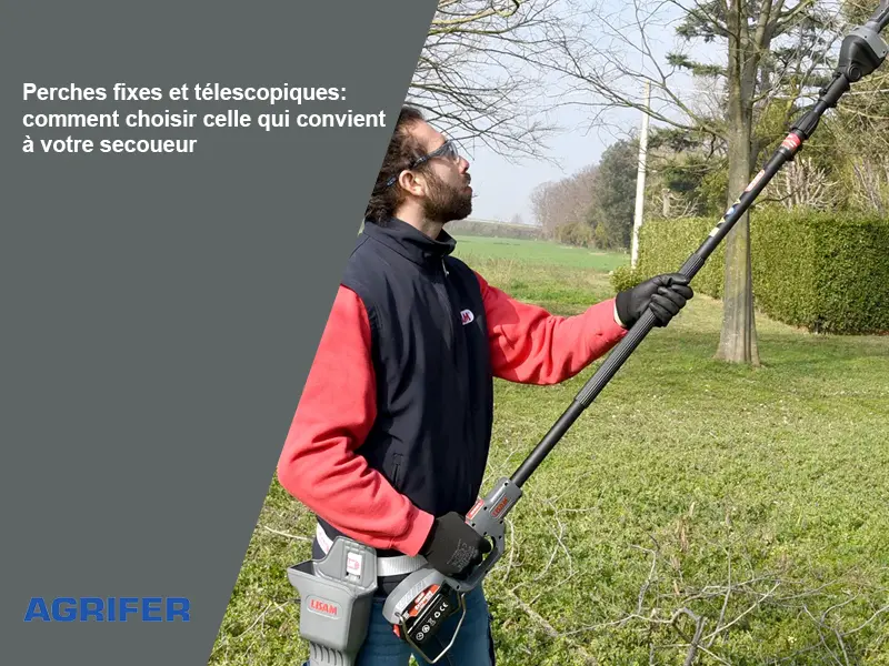 Comment choisir la perche pour secoueur: fixe ou télescopique?