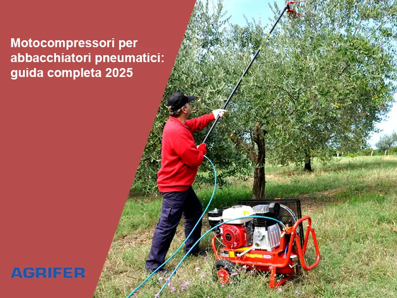 Motocompressori per abbacchiatori pneumatici: guida completa 2025