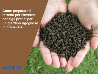 Come preparare il terreno per l’inverno: consigli pratici per un giardino rigoglioso in primavera