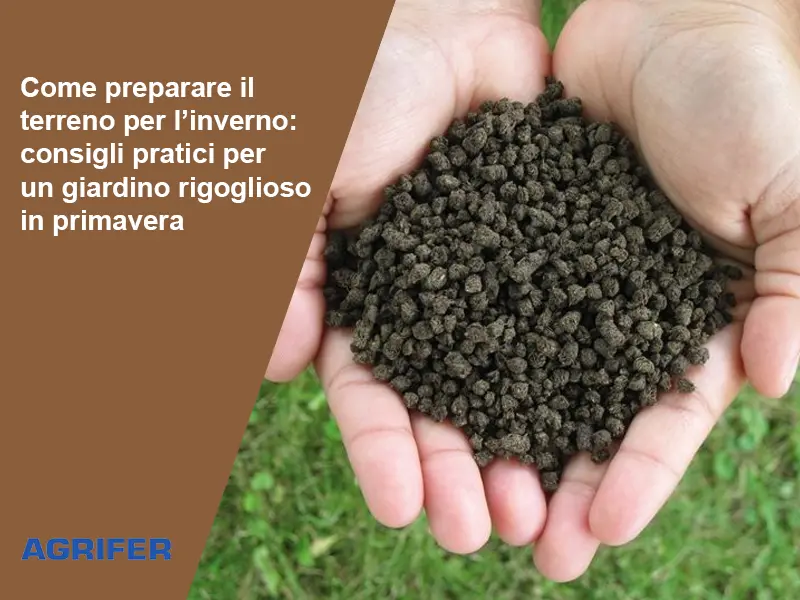 Come preparare il terreno per l’inverno: consigli pratici per un giardino rigoglioso in primavera