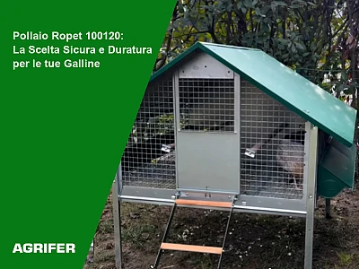 Pollaio Ropet 100120: La Scelta Sicura e Duratura per le tue Galline