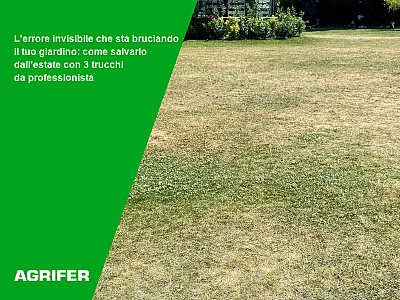 L'errore invisibile che sta bruciando il tuo giardino: come salvarlo dall'estate con 3 trucchi da professionista