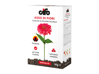 Cifo Engrais soluble Ace of Flowers Cifo 1kg pour plantes de balcon, jardin et potager
