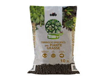 Cifo Terreau pour succulentes Torfy Bio 10lt Cifo