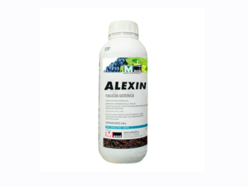 Masso Garden Fongicide Alexin 75 LS phosphonate de potassium 1L Masso mildiou