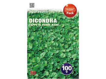 Sgaravatti Graines confites Dicondra vert tapis nain 100g par 10sqm Sgaravatti