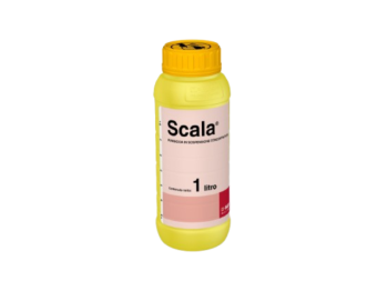 Basf Fongicide Scale Basf Pyrimenthanil 400 g/L suspension concentrée 1L