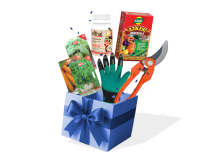 Agrifer Boîte cadeau horticole Grow & Eat