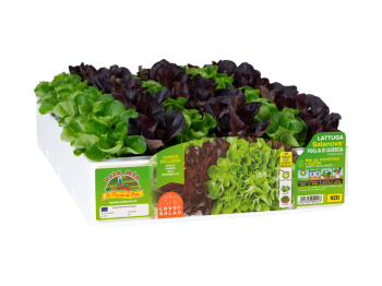 Orto Mio Salade Salanova Cousteau Xodos Orto Mio 9 plantes mélange laitue cube rouge vert