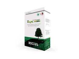 Bottos Royal Moon Bottos: Sementi per Tappeto Erboso Ombreggiato di Alta Gamma