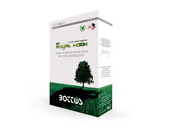 Royal Moon Bottos: Sementi per Tappeto Erboso Ombreggiato di Alta Gamma
