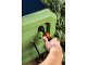Nebulizzatore Anti Zanzare Stocker Geyser Pro Lite Wi-Fi - Perimetro 100m