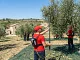 Batteria al Litio a Spalla Lisam per Abbacchiatori Elettrici Batteria al Litio a Spalla Lisam per Abbacchiatori Elettrici