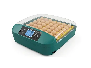 Incubateur Automatique Bormann BIN1056 56 Œufs 80W Contrôle Humidité
