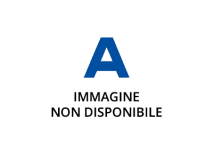 Rato Générateur Rato R6000D-8 ATS 6kW essence 420cc AVR avec ATS